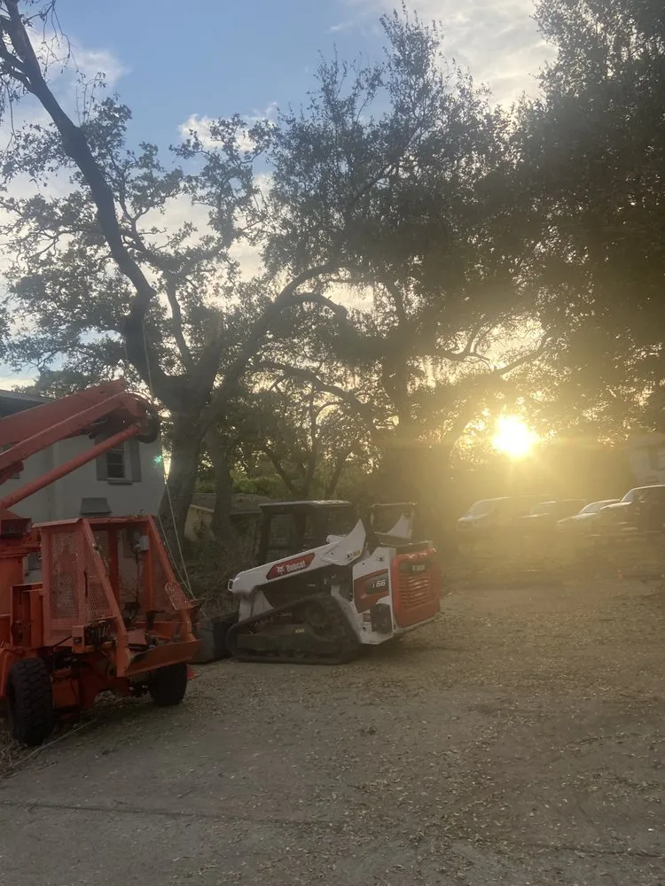 Top-rated landscape installation for year-round maintenance in Valrico, FL by Standing On A Limb Tree Service