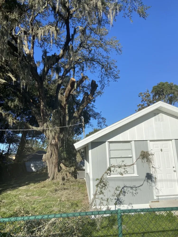 Reliable landscaping services with custom design in Valrico, FL by Standing On A Limb Tree Service