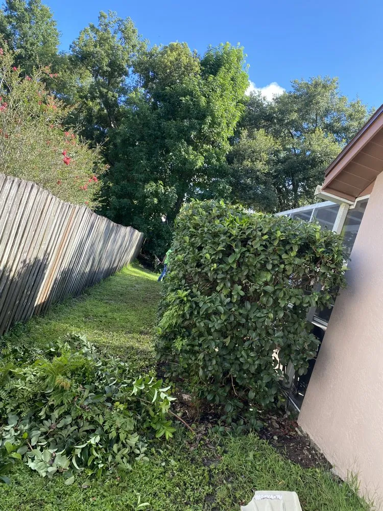 Local landscaping services for residential properties in Valrico, FL by Standing On A Limb Tree Service