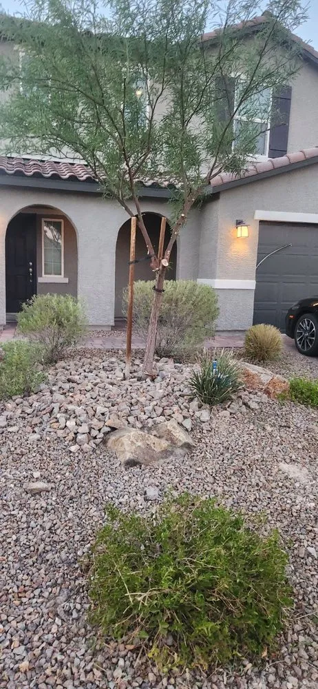 Expert landscape installation experts serving Las Vegas, NV - Standmore Landscaping Services