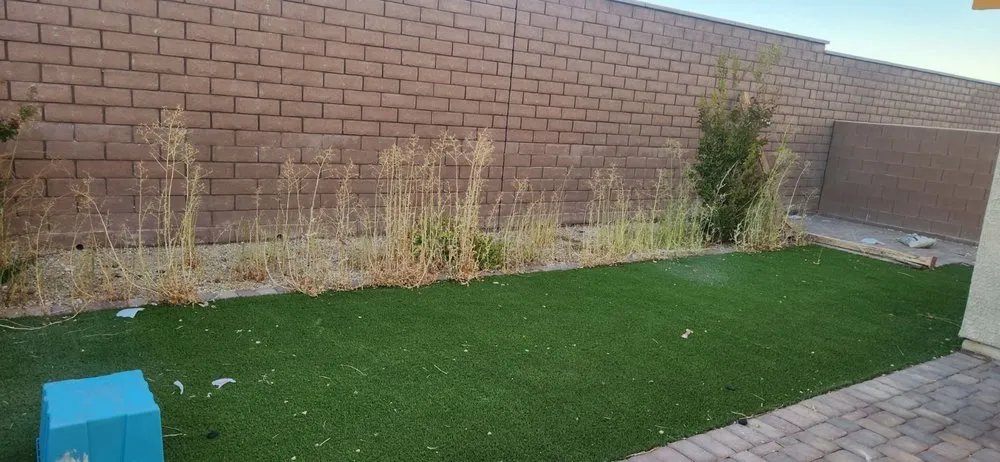 Reliable landscaping services in Las Vegas, NV - Standmore Landscaping Services