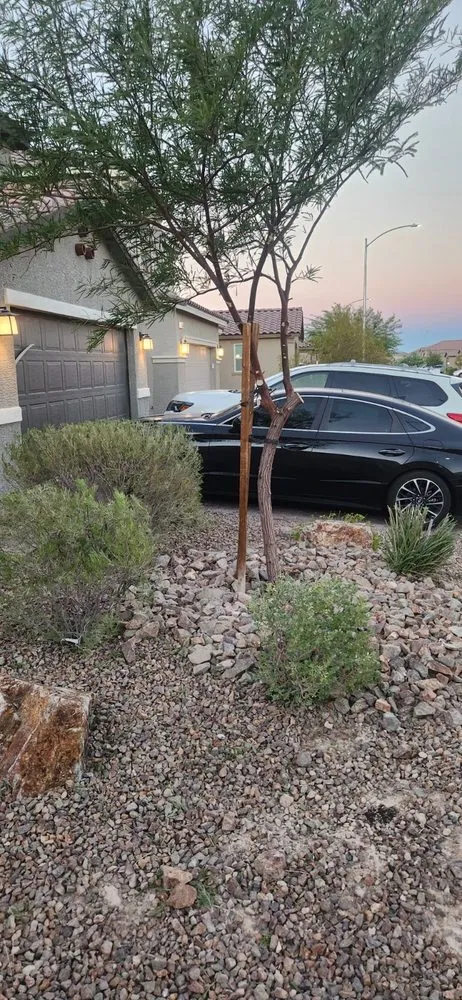 Affordable landscape installation near you in Las Vegas, NV by Standmore Landscaping Services