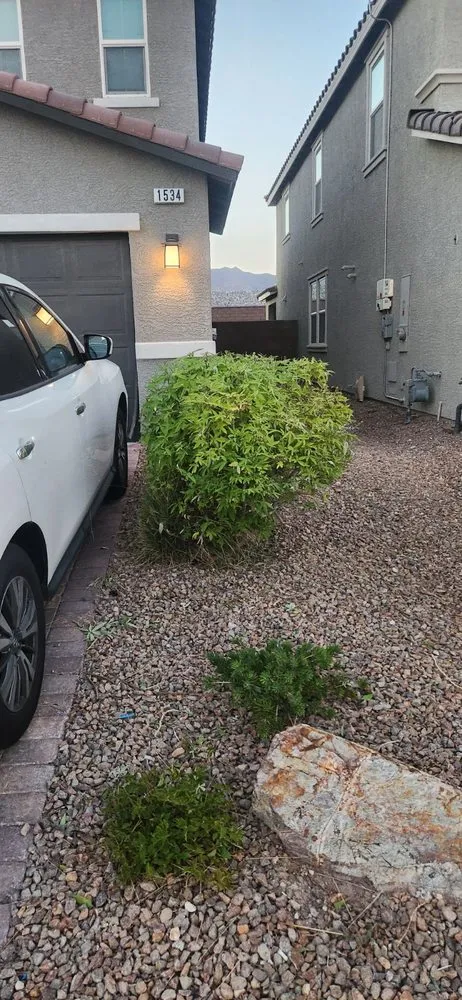 Custom lawn care service experts serving Las Vegas, NV - Standmore Landscaping Services