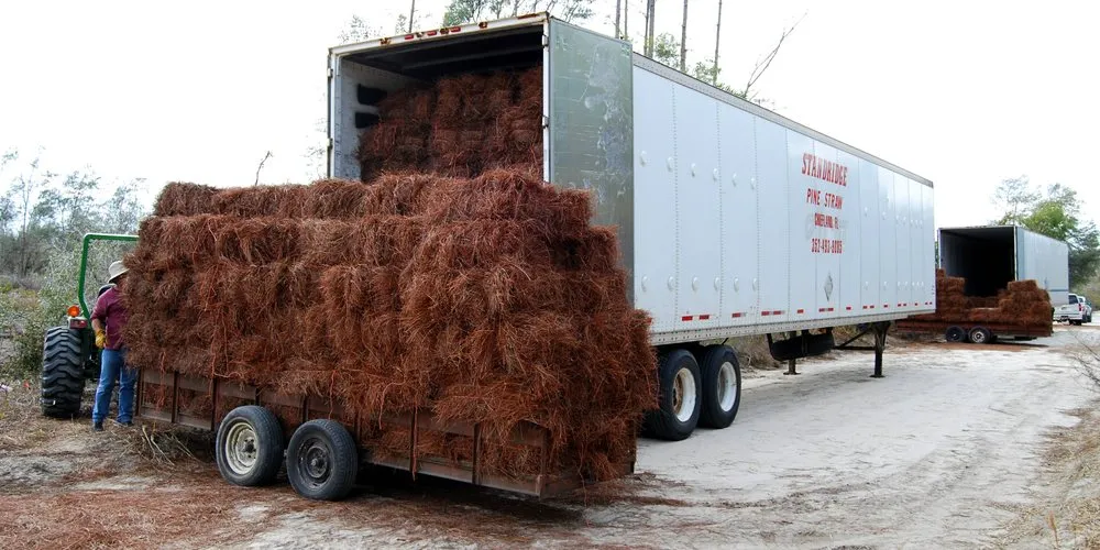 Expert garden landscaping for residential properties across Chiefland, FL - Standridge Baled Pinestraw