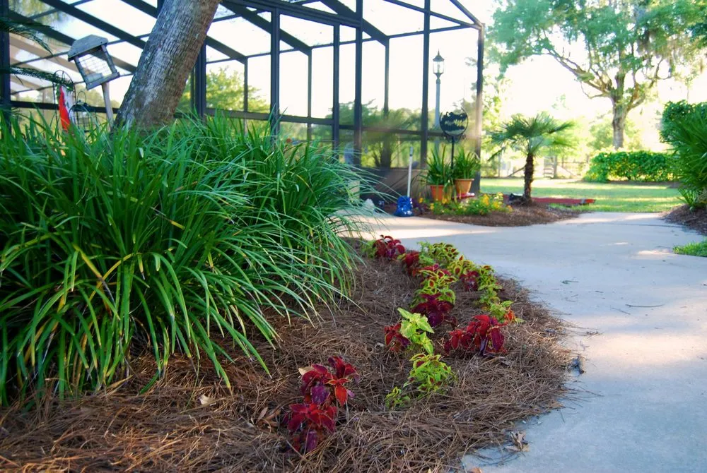 Expert landscape installation in Chiefland, FL by Standridge Baled Pinestraw