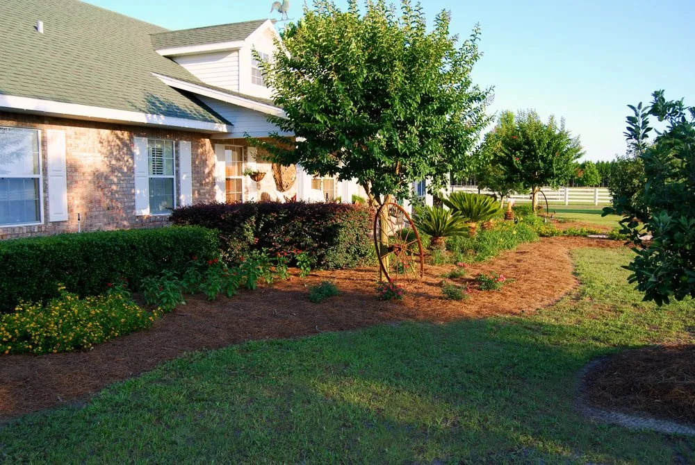 Custom outdoor landscaping in Chiefland, FL by Standridge Baled Pinestraw