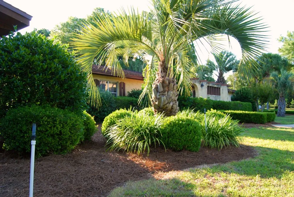 Professional landscape installation in Chiefland, FL - Standridge Baled Pinestraw