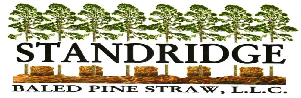 Local residential landscaping for homes in Chiefland, FL by Standridge Baled Pinestraw
