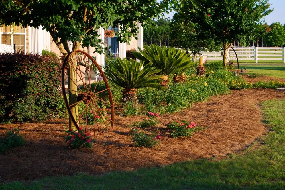 Local landscape installation in Chiefland, FL - Standridge Baled Pinestraw