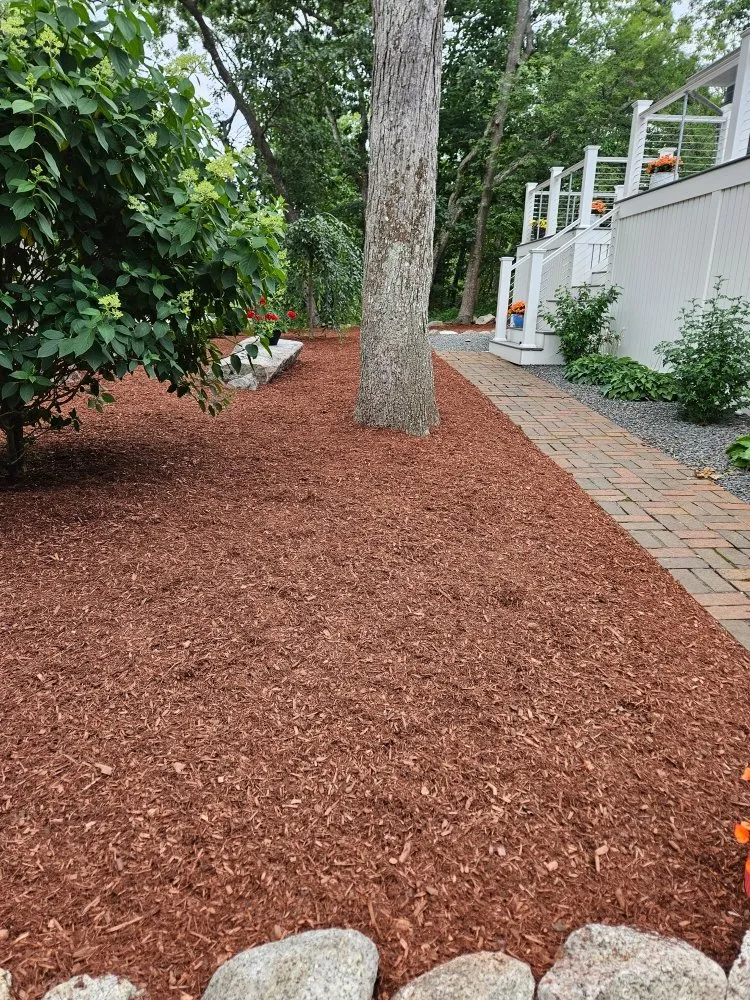 Top-rated lawn care service experts serving Lynn, MA - Standstrong Landscape