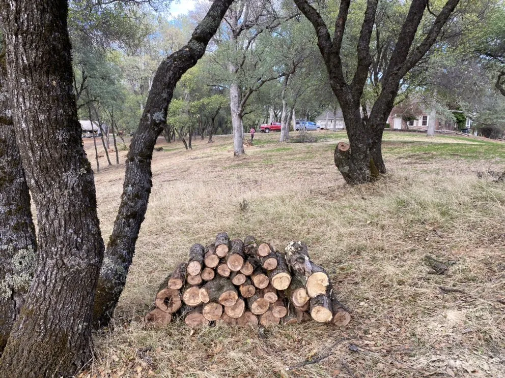 Local landscape installation in Placerville, CA - Stanfield Land Management and Fuel Reduction