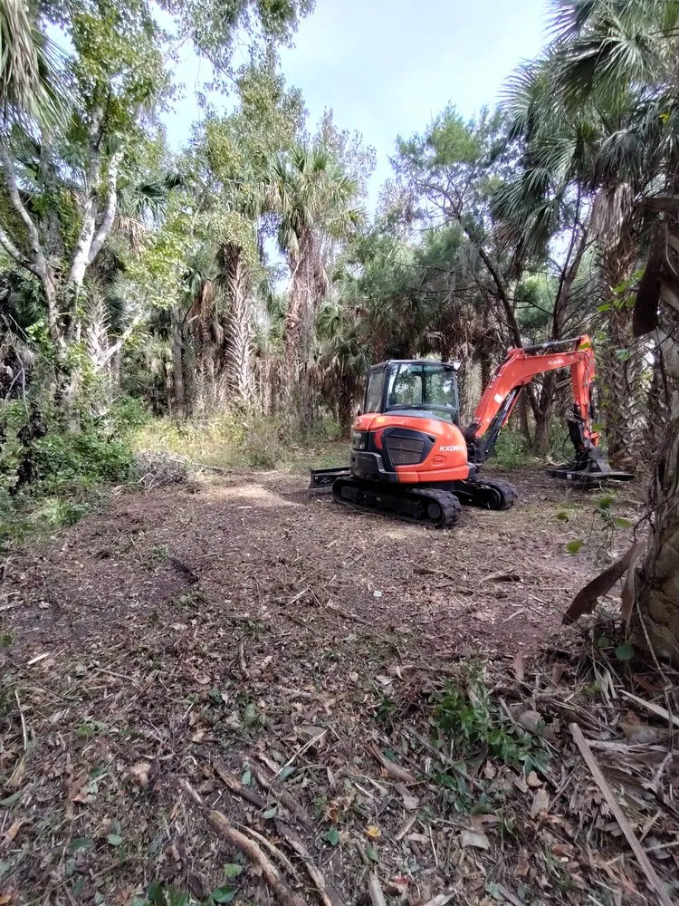 Professional yard cleanup service in De Leon Springs, FL by Stanford Land Management