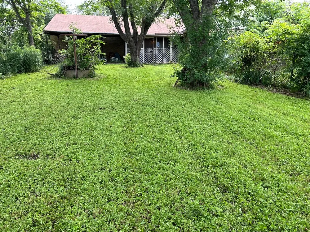 Trusted yard cleanup service in Robinson, TX - Stanford lawn care service