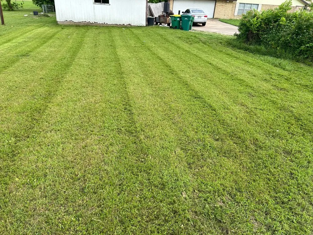 Top-rated lawn mowing service near you across Robinson, TX - Stanford lawn care service