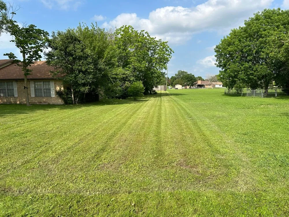 Local yard cleanup service near you in Robinson, TX by Stanford lawn care service