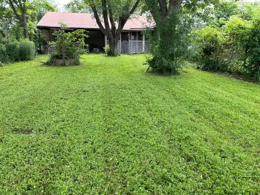 Stanford lawn care service