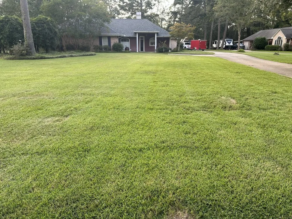 Expert lawn care service experts serving Clinton, LA - Stanga Lawn Care & Pressure Wash