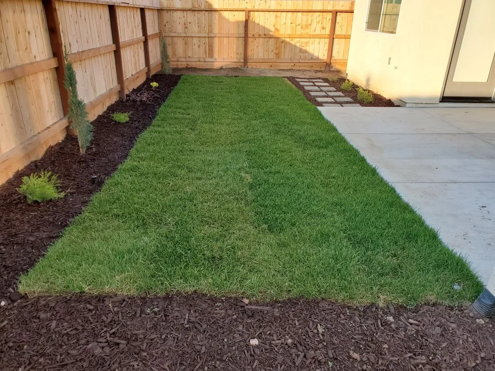 Trusted yard maintenance in Fresno, CA - Stangby Designs