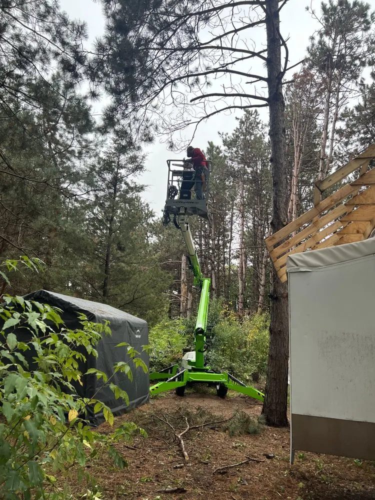 Custom landscaping services experts serving Pierz, MN - Stangls Stumps