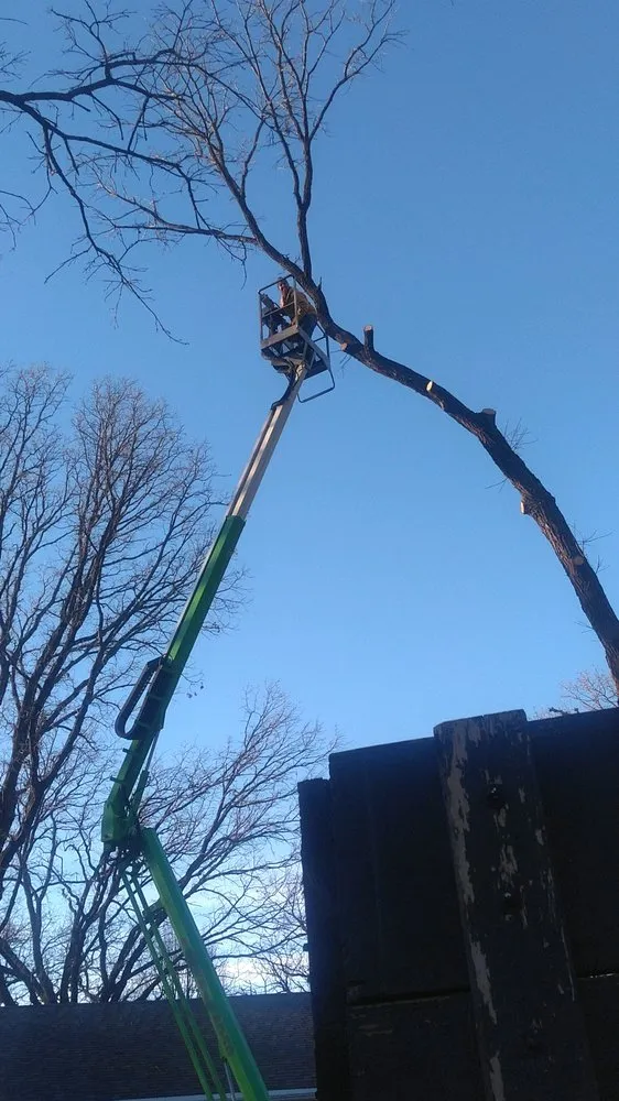 Expert garden landscaping experts serving Pierz, MN - Stangls Stumps