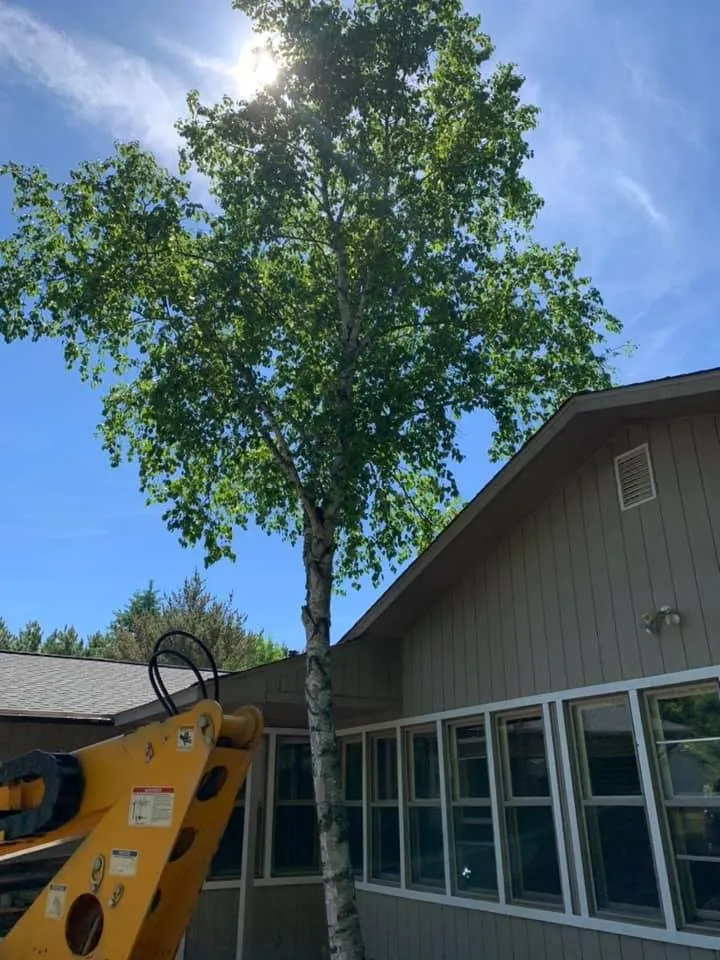 Reliable residential landscaping in Pierz, MN by Stangls Stumps