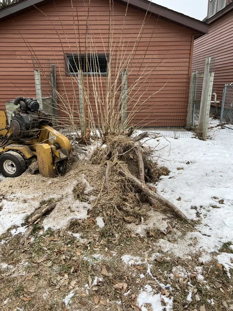 Professional lawn mowing service in Pierz, MN - Stangls Stumps