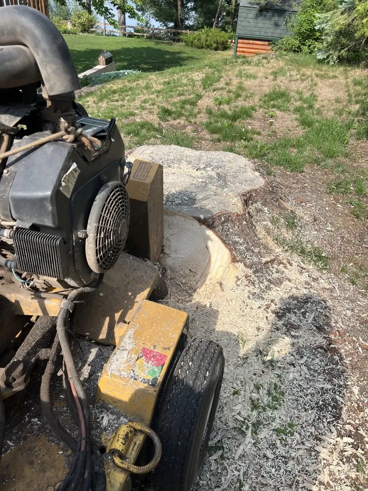 Reliable landscape design for year-round maintenance across Pierz, MN - Stangls Stumps