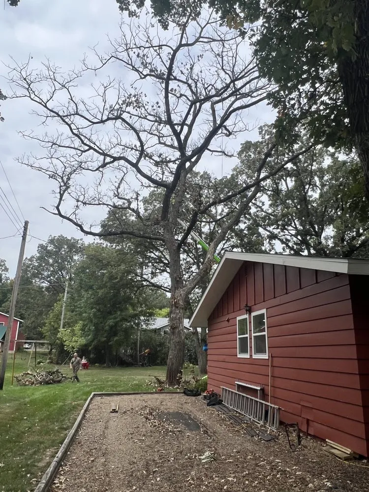 Expert garden landscaping experts serving Pierz, MN - Stangls Stumps