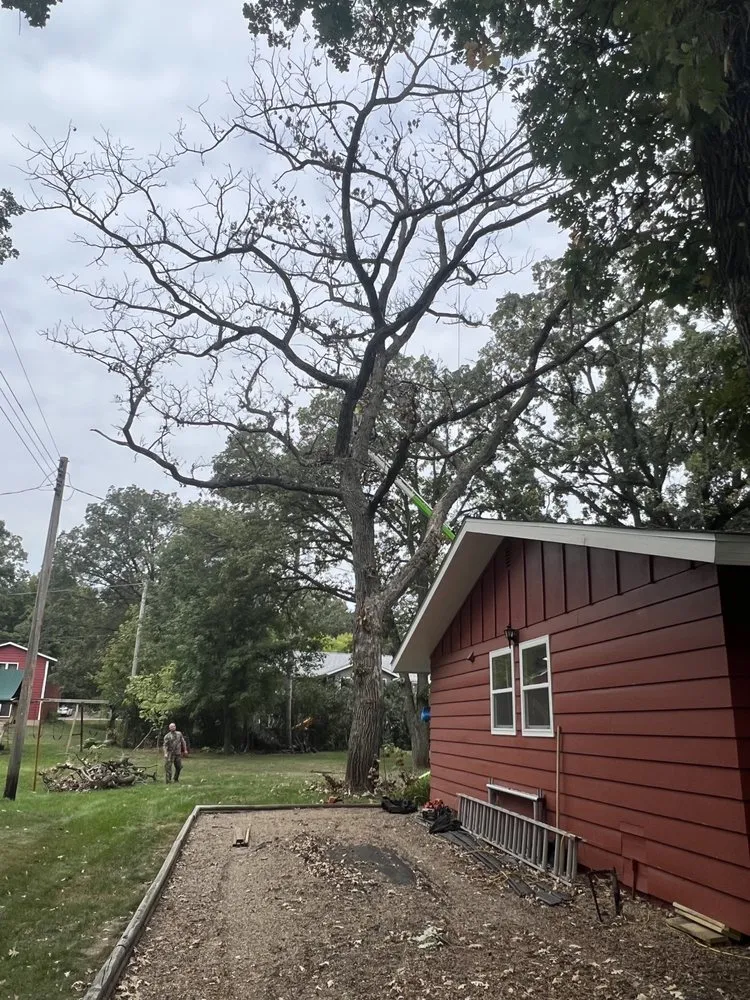 Professional garden landscaping for residential properties in Pierz, MN by Stangls Stumps