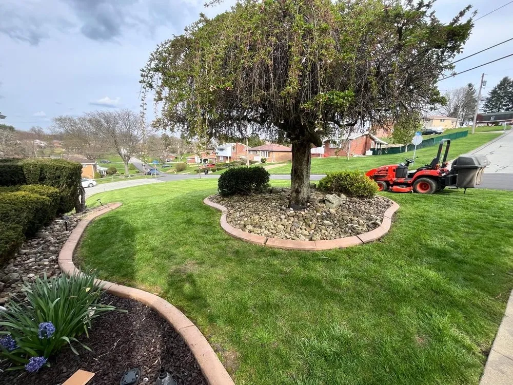 Reliable yard cleanup service experts serving Irwin, PA - Stankovich Lawn Service & More