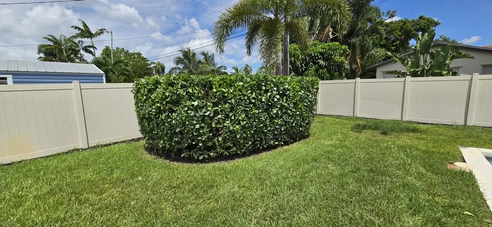 Custom lawn mowing service in Hollywood, FL - Stanley Elias Lawn Care & Maintenance