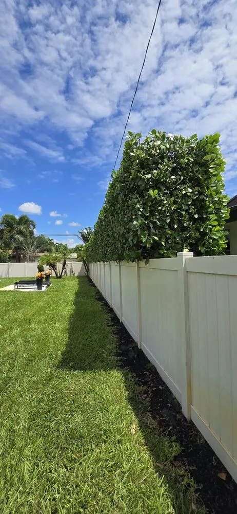 Reliable yard cleanup service in Hollywood, FL by Stanley Elias Lawn Care & Maintenance