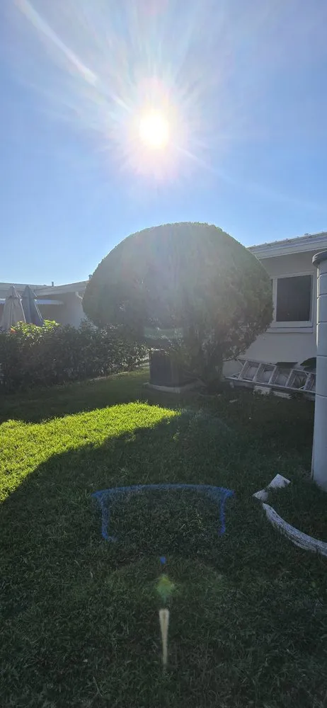 Trusted landscaping services for beautiful yards across Hollywood, FL - Stanley Elias Lawn Care & Maintenance