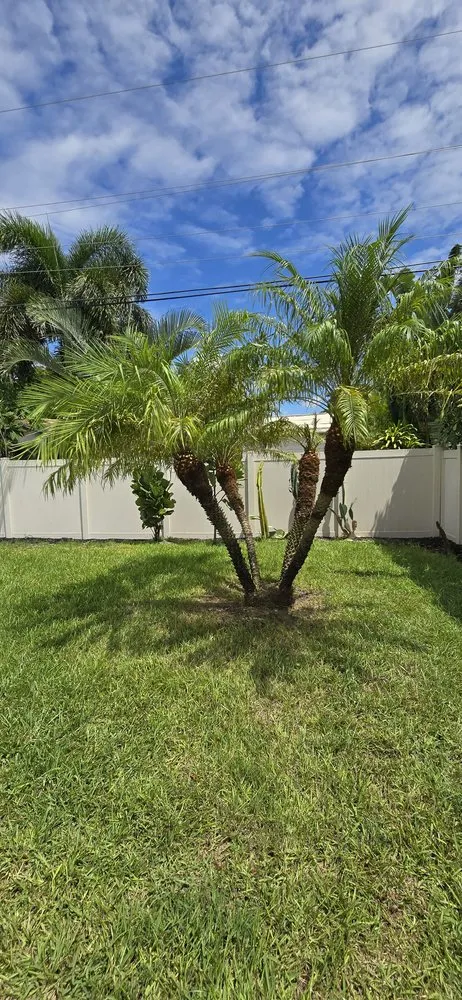 Professional landscape design in Hollywood, FL by Stanley Elias Lawn Care & Maintenance