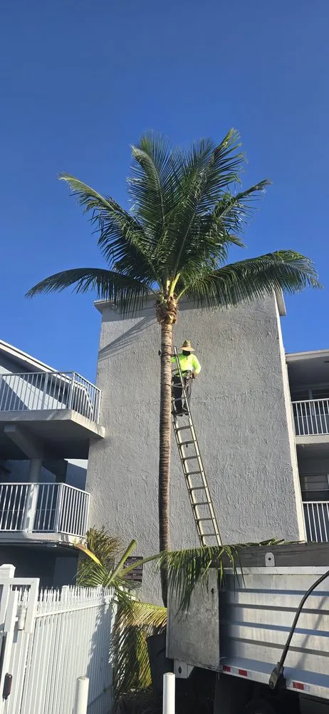 Expert outdoor landscaping for year-round maintenance in Hollywood, FL by Stanley Elias Lawn Care & Maintenance