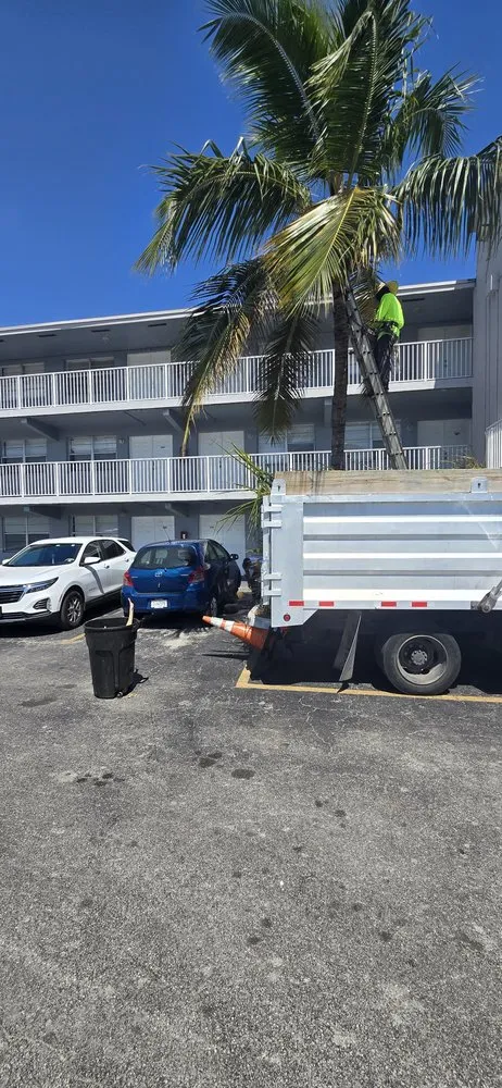 Expert outdoor landscaping near you across Hollywood, FL - Stanley Elias Lawn Care & Maintenance