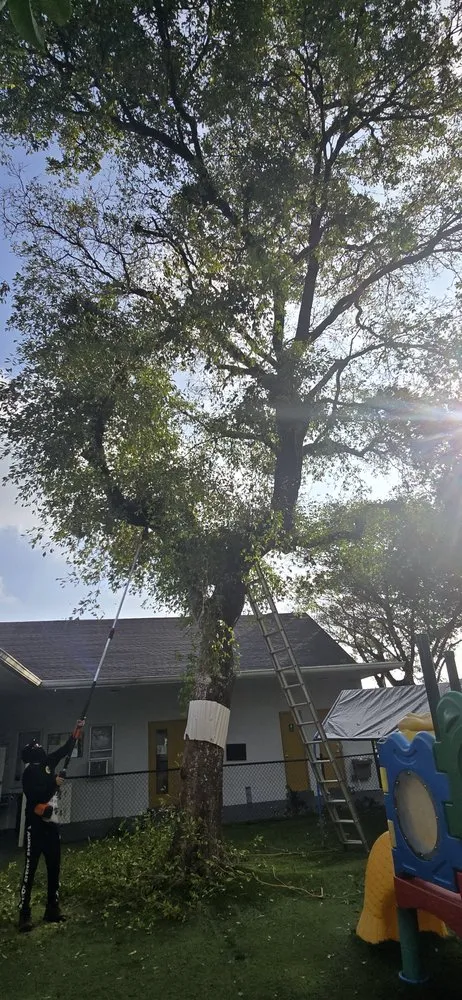 Local garden landscaping experts serving Hollywood, FL - Stanley Elias Lawn Care & Maintenance