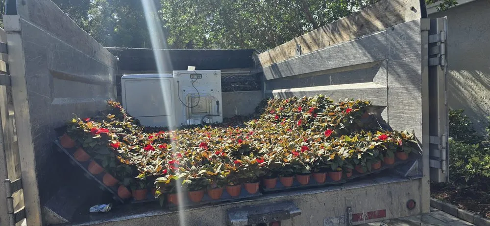 Expert yard maintenance with custom design in Hollywood, FL by Stanley Elias Lawn Care & Maintenance