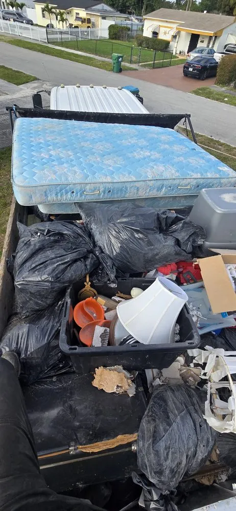 Expert outdoor landscaping experts serving Hollywood, FL - Stanley Elias Lawn Care & Maintenance