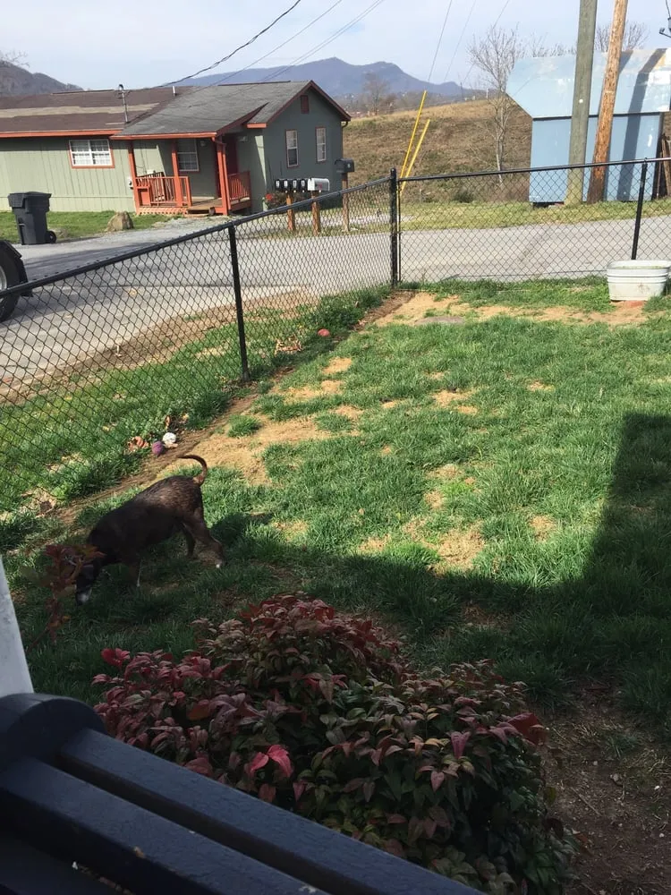 Professional yard cleanup service with custom design in Sevierville, TN by Stanley Fencing