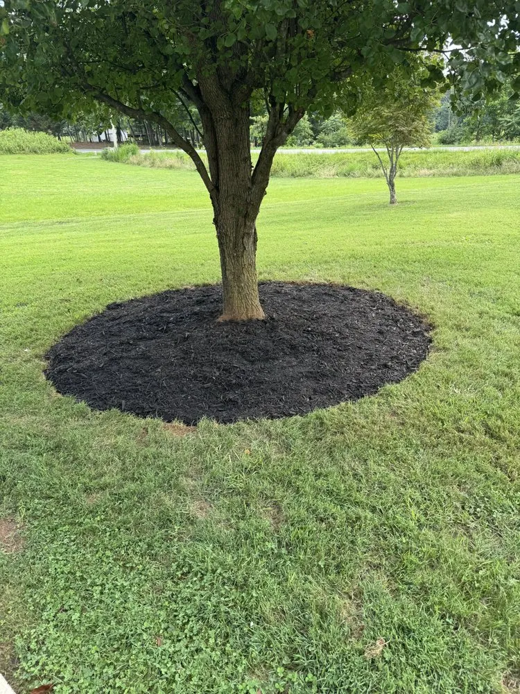 Expert landscape installation near you in Siloam, NC by Stanley Landscaping