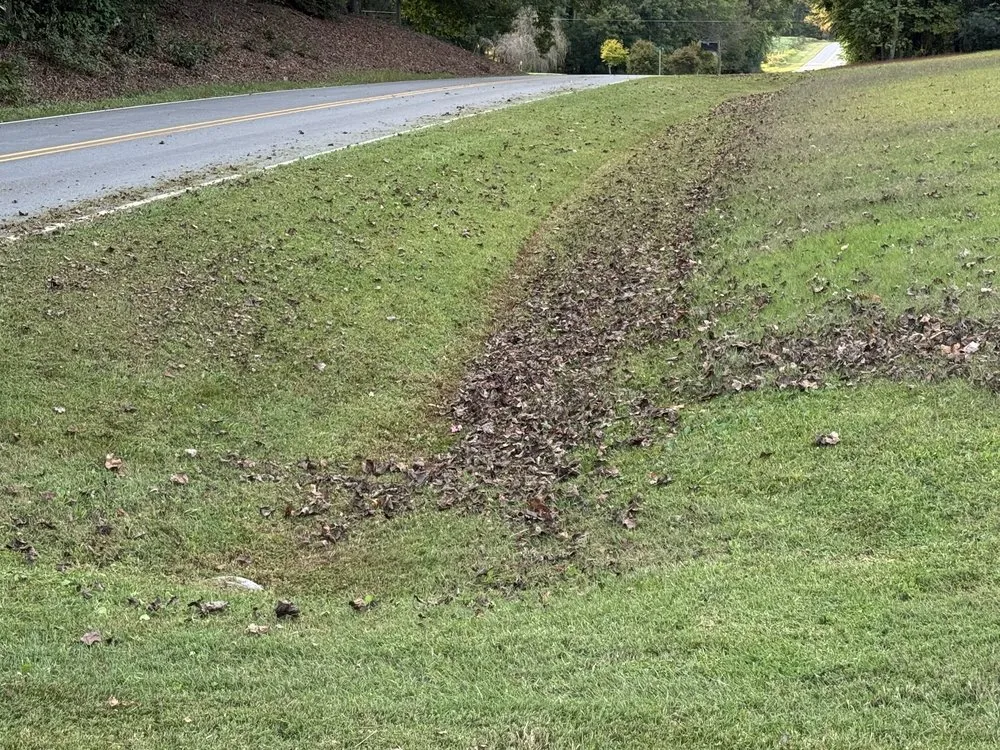 Expert landscaping services in Siloam, NC - Stanley Landscaping