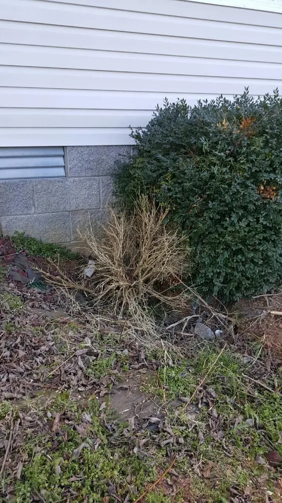 Trusted landscape installation in Clarksville, TN - Stanley Lawn and Landscape