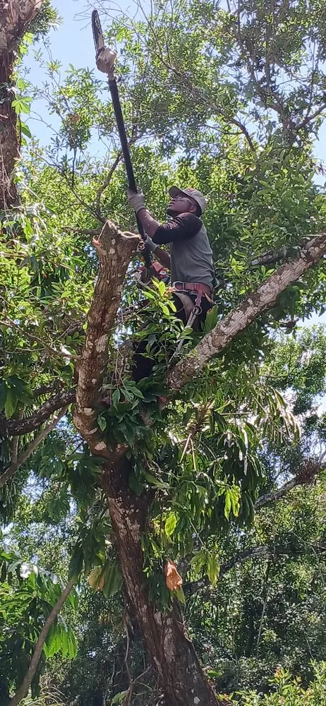 Top-rated residential landscaping in Fort Pierce, FL - Stanley Pope Services Landscape