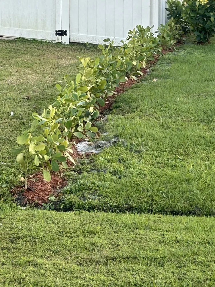 Trusted lawn mowing service for beautiful yards across Fort Pierce, FL - Stanley Pope Services Landscape