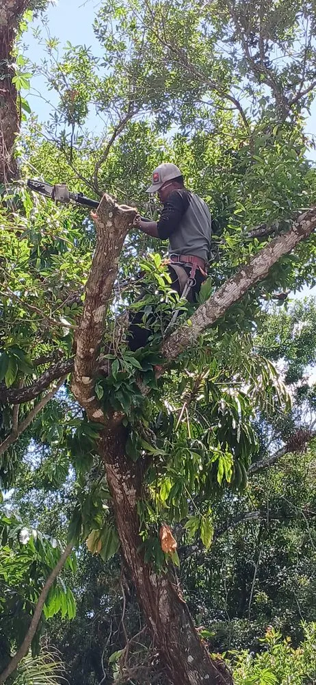 Expert yard maintenance for beautiful yards in Fort Pierce, FL by Stanley Pope Services Landscape