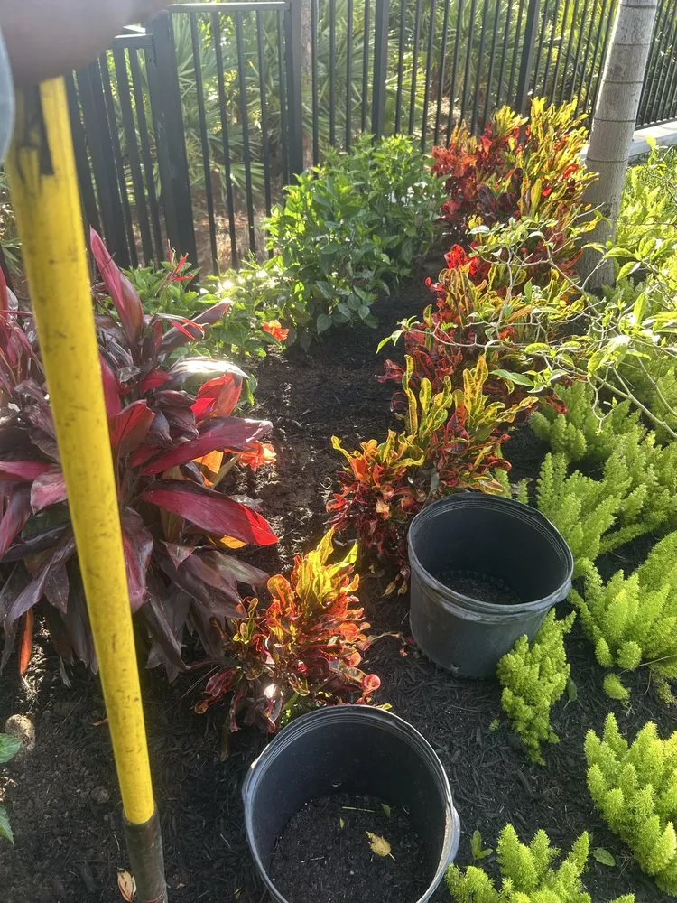 Affordable landscape design for homes in Fort Pierce, FL by Stanley Pope Services Landscape