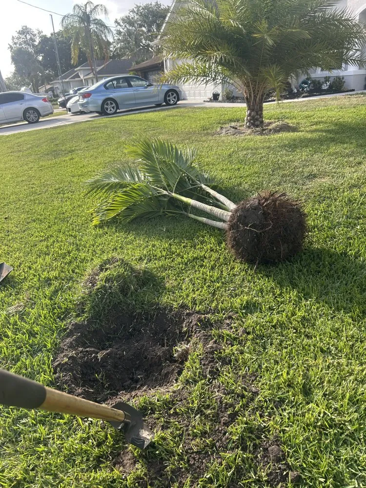 Local landscape installation for homes across Fort Pierce, FL - Stanley Pope Services Landscape