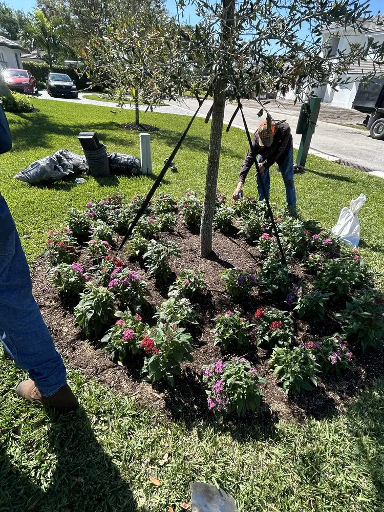 Reliable lawn mowing service with custom design across Fort Pierce, FL - Stanley Pope Services Landscape