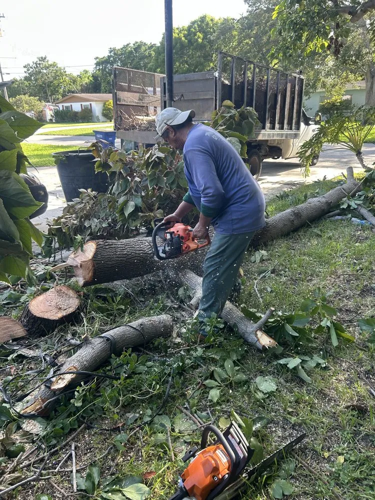Affordable garden landscaping for outdoor upgrades across Fort Pierce, FL - Stanley Pope Services Landscape